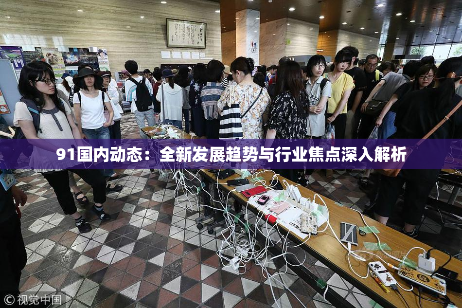 91国内动态：全新发展趋势与行业焦点深入解析