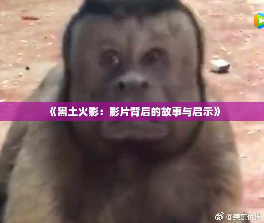 《黑土火影：影片背后的故事与启示》