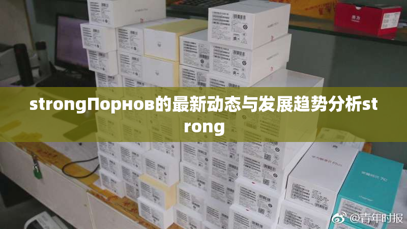 strongПорнов的最新动态与发展趋势分析strong