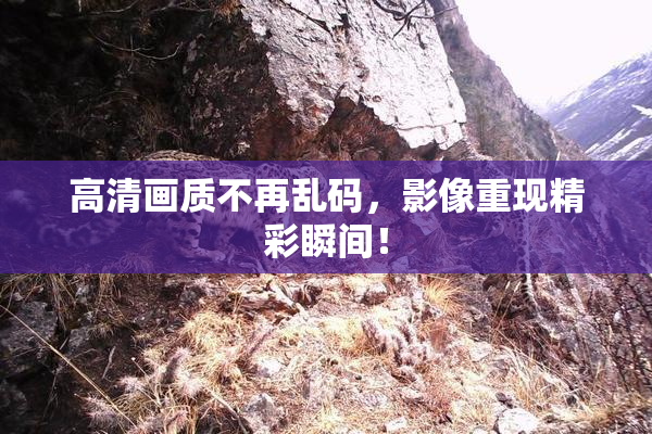 高清画质不再乱码，影像重现精彩瞬间！