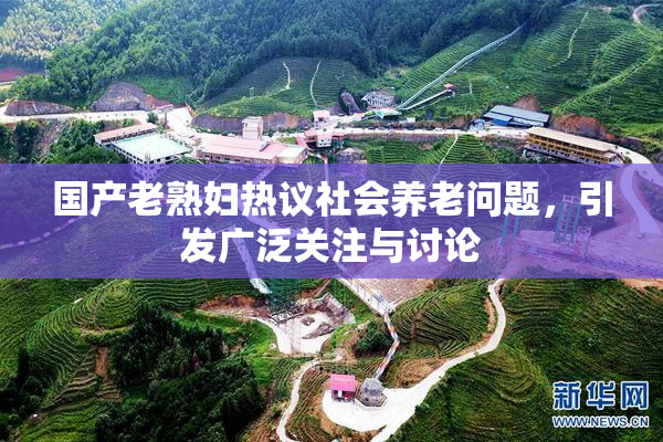 国产老熟妇热议社会养老问题，引发广泛关注与讨论