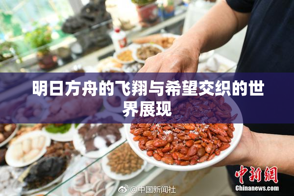 明日方舟的飞翔与希望交织的世界展现