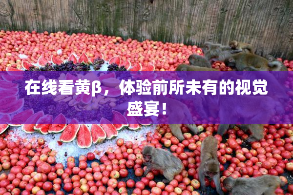 在线看黄β，体验前所未有的视觉盛宴！