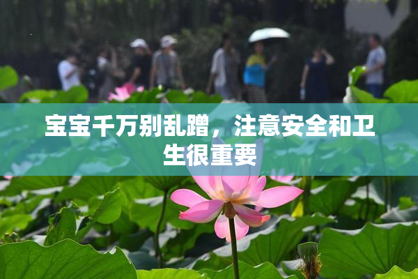 宝宝千万别乱蹭，注意安全和卫生很重要