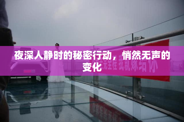 夜深人静时的秘密行动，悄然无声的变化