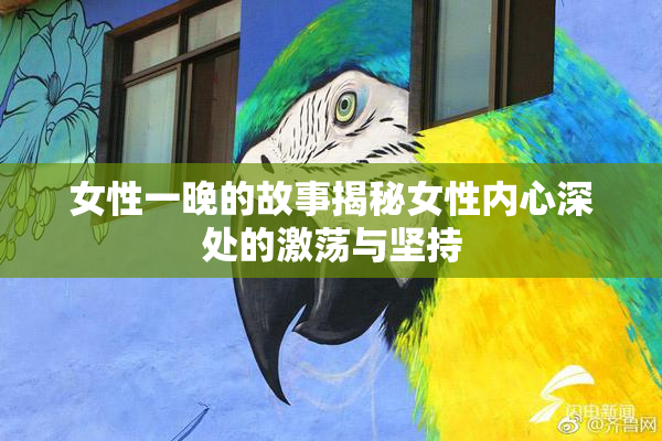 女性一晚的故事揭秘女性内心深处的激荡与坚持