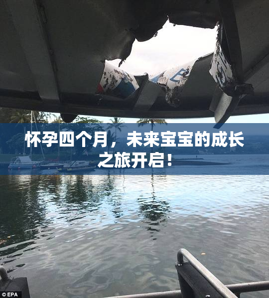 怀孕四个月，未来宝宝的成长之旅开启！