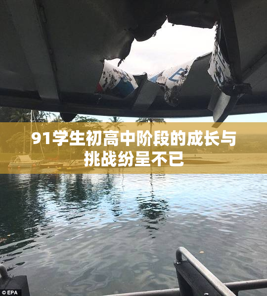 91学生初高中阶段的成长与挑战纷呈不已