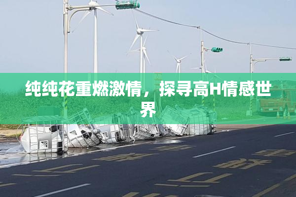 纯纯花重燃激情，探寻高H情感世界