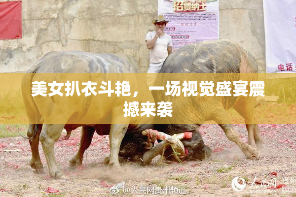 美女扒衣斗艳，一场视觉盛宴震撼来袭