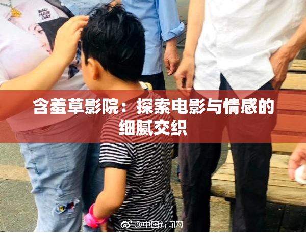 含羞草影院：探索电影与情感的细腻交织