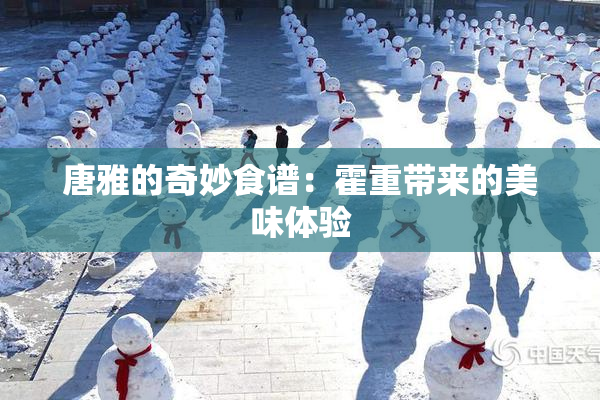 唐雅的奇妙食谱：霍重带来的美味体验