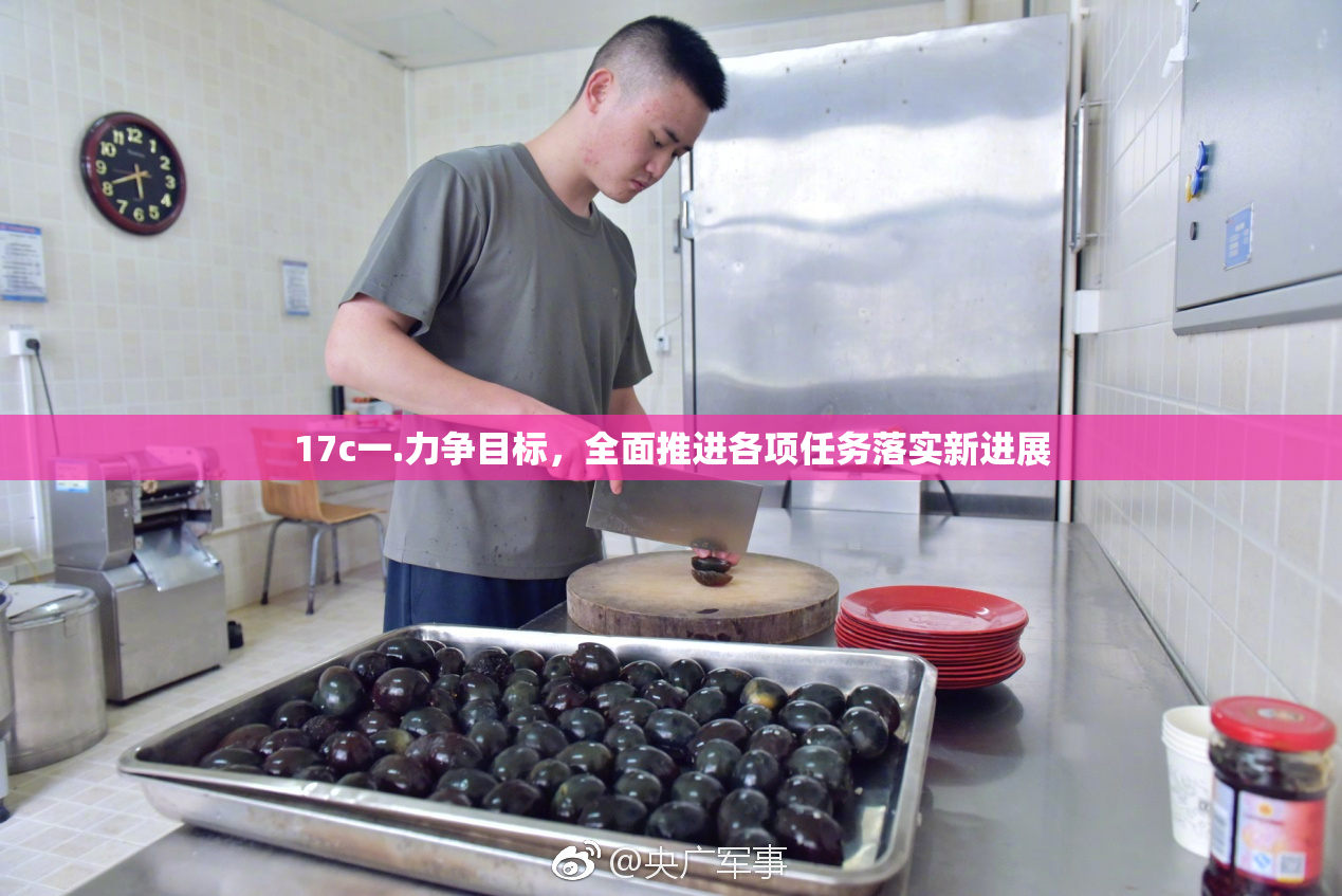 17c一.力争目标，全面推进各项任务落实新进展