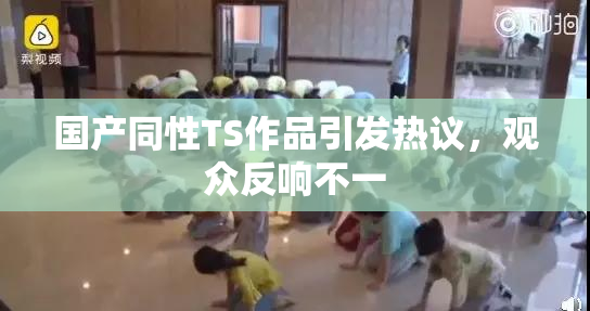 国产同性TS作品引发热议，观众反响不一