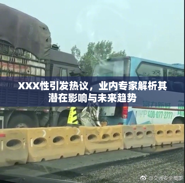 XXX性引发热议，业内专家解析其潜在影响与未来趋势