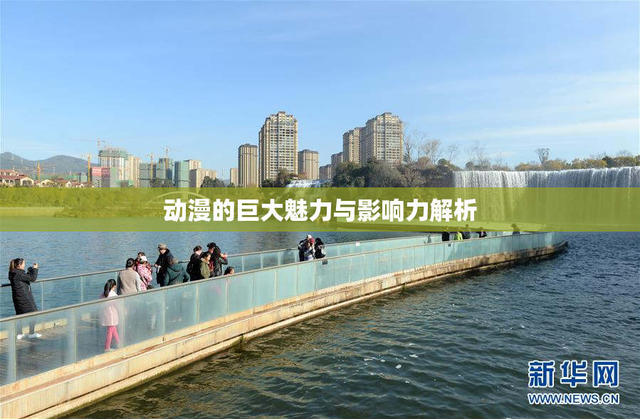 动漫的巨大魅力与影响力解析