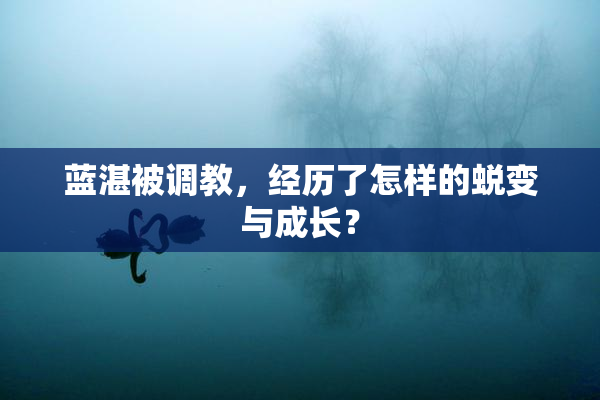 蓝湛被调教，经历了怎样的蜕变与成长？