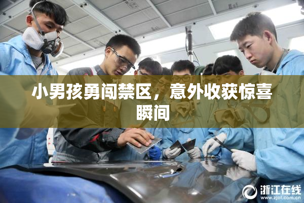 小男孩勇闯禁区，意外收获惊喜瞬间