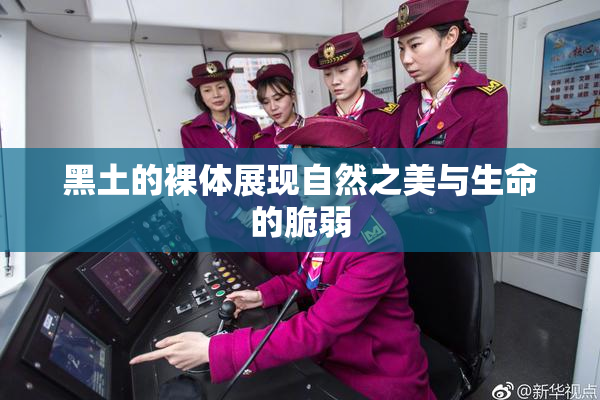 黑土的裸体展现自然之美与生命的脆弱