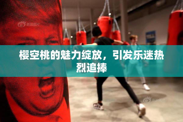 樱空桃的魅力绽放，引发乐迷热烈追捧