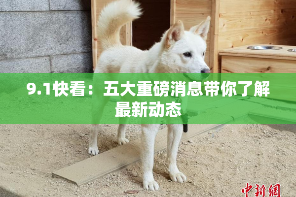 9.1快看：五大重磅消息带你了解最新动态