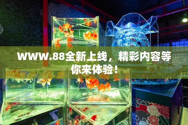 WWW.88全新上线，精彩内容等你来体验！
