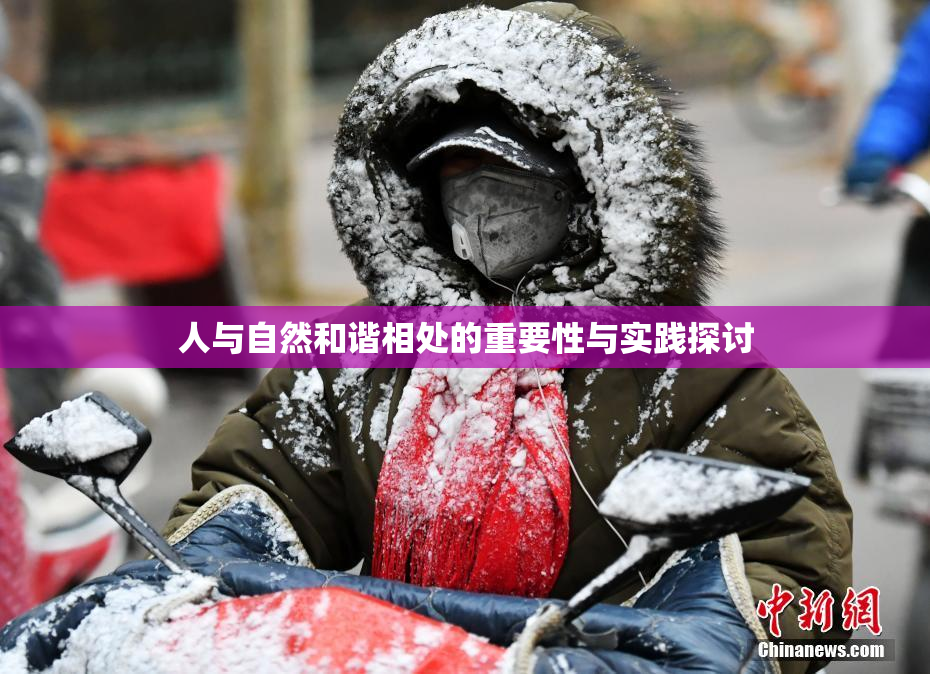 人与自然和谐相处的重要性与实践探讨