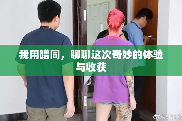 我用蹭同，聊聊这次奇妙的体验与收获
