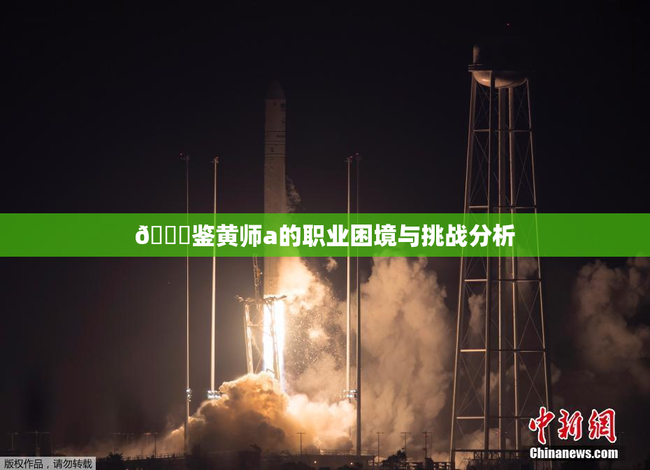 🔞鉴黄师a的职业困境与挑战分析