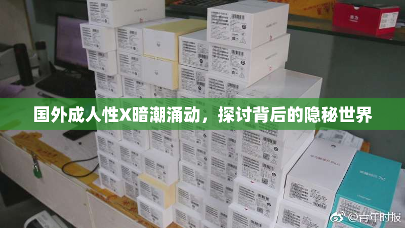 国外成人性X暗潮涌动，探讨背后的隐秘世界