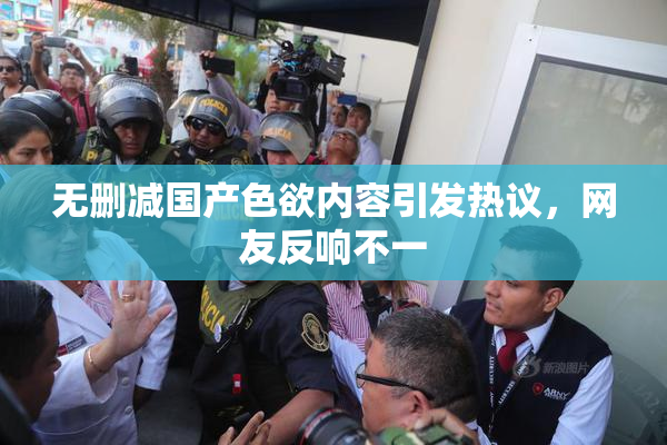 无删减国产色欲内容引发热议，网友反响不一
