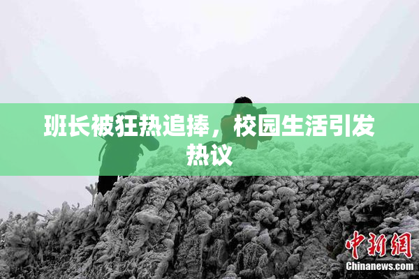 班长被狂热追捧，校园生活引发热议