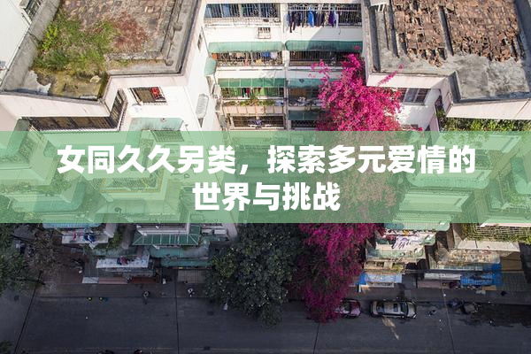女同久久另类，探索多元爱情的世界与挑战