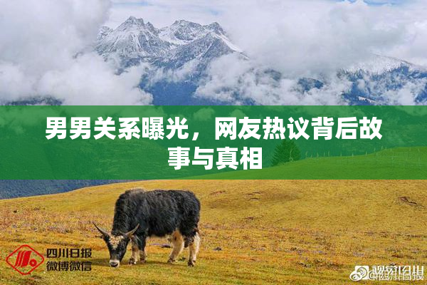 男男关系曝光，网友热议背后故事与真相