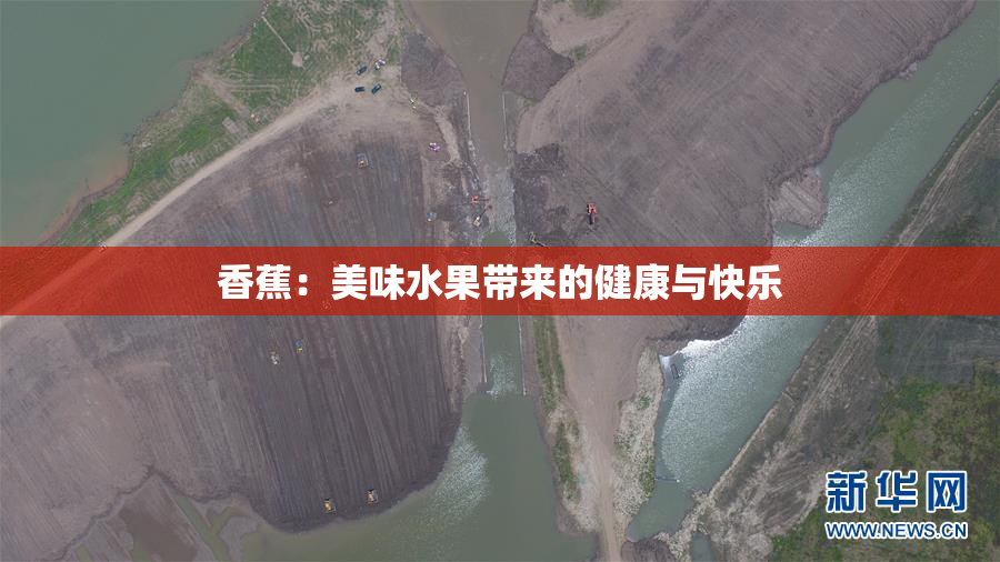 香蕉：美味水果带来的健康与快乐