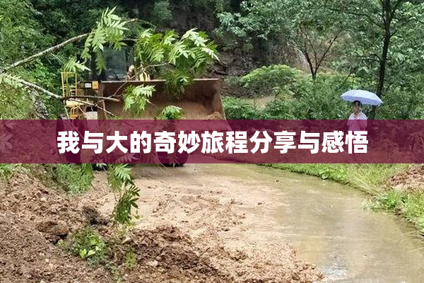 我与大的奇妙旅程分享与感悟