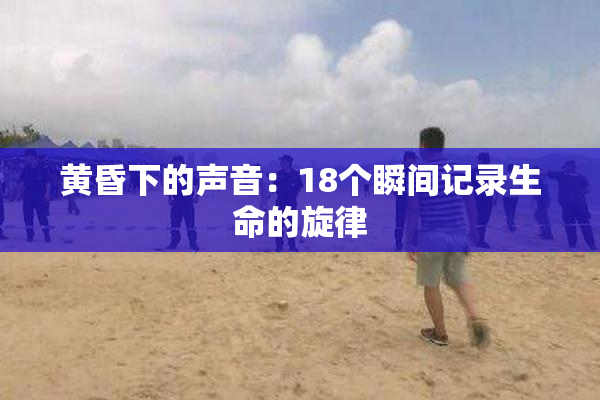 黄昏下的声音：18个瞬间记录生命的旋律