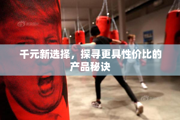 千元新选择，探寻更具性价比的产品秘诀