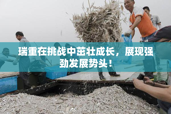 瑞重在挑战中茁壮成长，展现强劲发展势头！