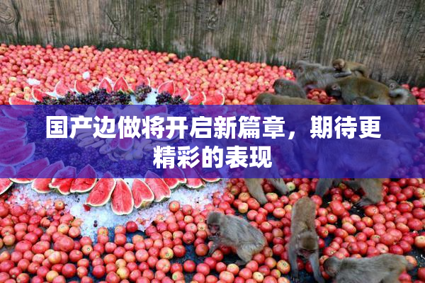 国产边做将开启新篇章，期待更精彩的表现