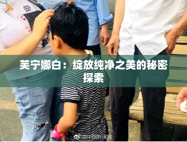 芙宁娜白：绽放纯净之美的秘密探索