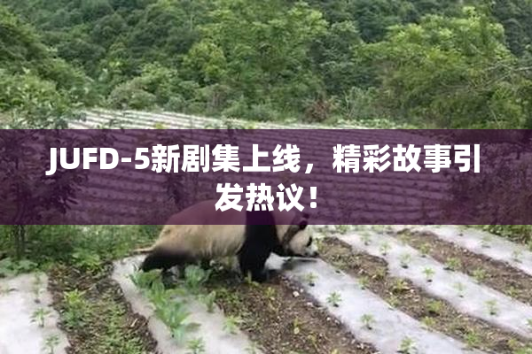 JUFD-5新剧集上线，精彩故事引发热议！