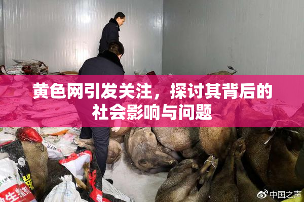 黄色网引发关注，探讨其背后的社会影响与问题