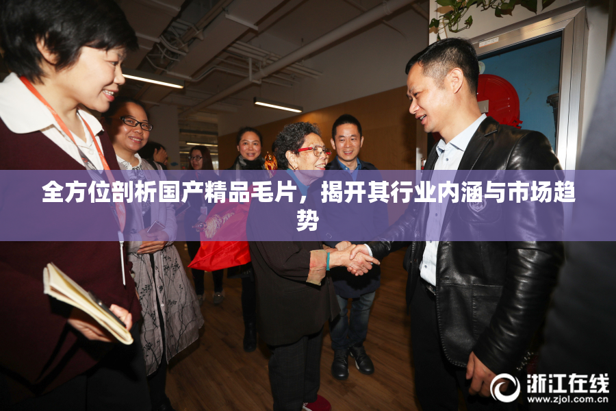 全方位剖析国产精品毛片，揭开其行业内涵与市场趋势