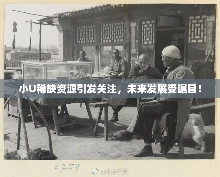 小U稀缺资源引发关注，未来发展受瞩目！
