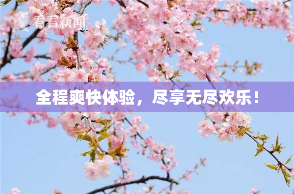 全程爽快体验，尽享无尽欢乐！