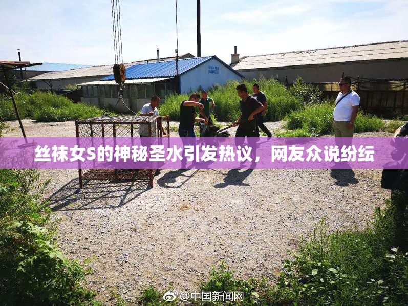 丝袜女S的神秘圣水引发热议，网友众说纷纭