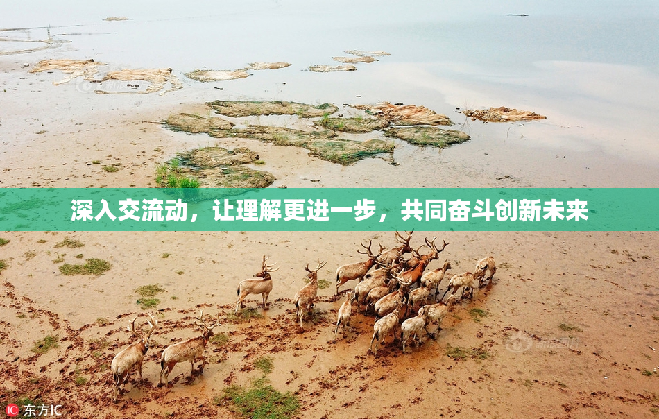 深入交流动，让理解更进一步，共同奋斗创新未来