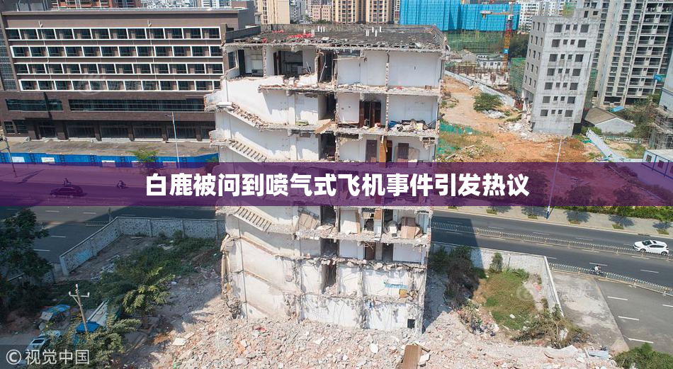 白鹿被问到喷气式飞机事件引发热议