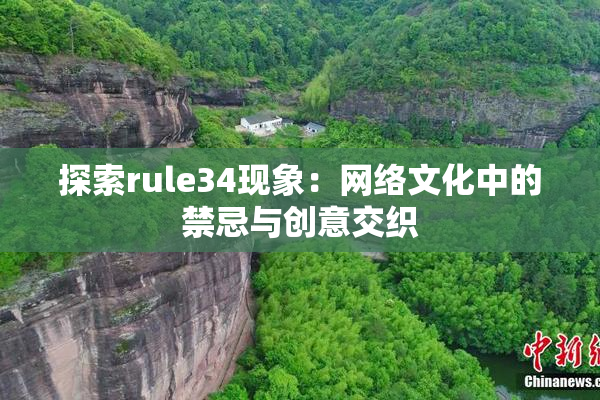 探索rule34现象：网络文化中的禁忌与创意交织